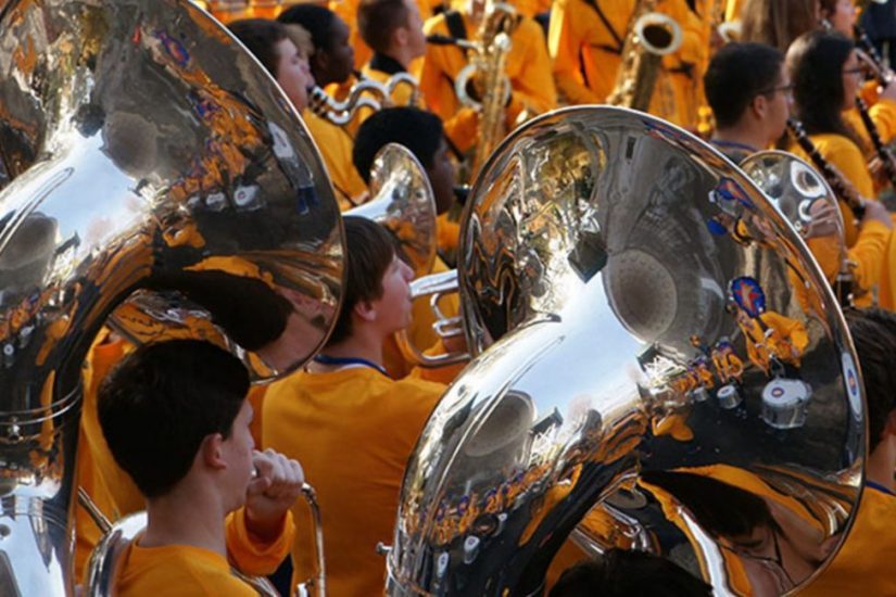 Walled Lake -  Central Park Performance (2015)